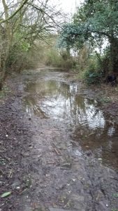 Flooded area Slough Lane